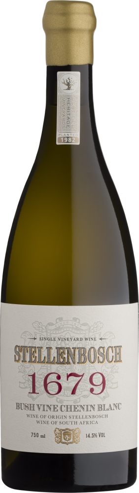 Stellenbosch 1679 Bush Vine Chenin Blanc 2024